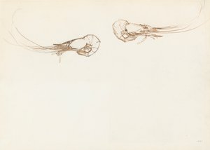 Dos camarones